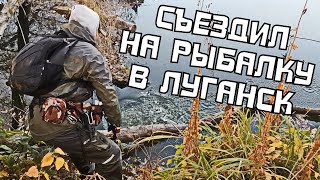 Ссылка