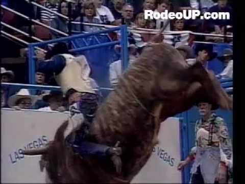 Bucking Bull - TRICK OR TREAT - BULL RIDING!