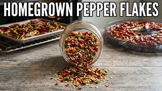 Oven or Dehydrator? I Tested Both on My Pepper Harvest