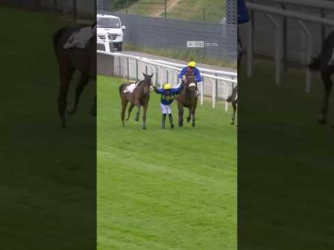 Wahnsinn! 🤯 #Rennen #Pferderennen