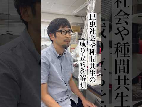 【関学・生命環境学部】昆虫社会や種間共生の成り立ちを解明！｜北條 賢 研究室  #関西学院大学 #生命環境学部 #昆虫社会 #アリ研究 #化学生態学 #理系
