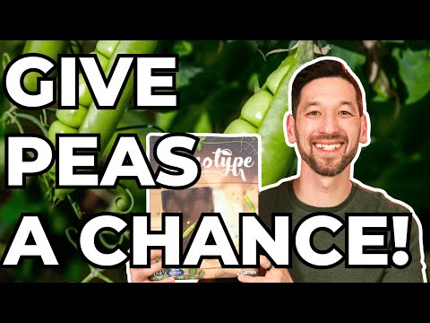 Genotype: A Mendelian Genetics Game! How-to-Play and Review!