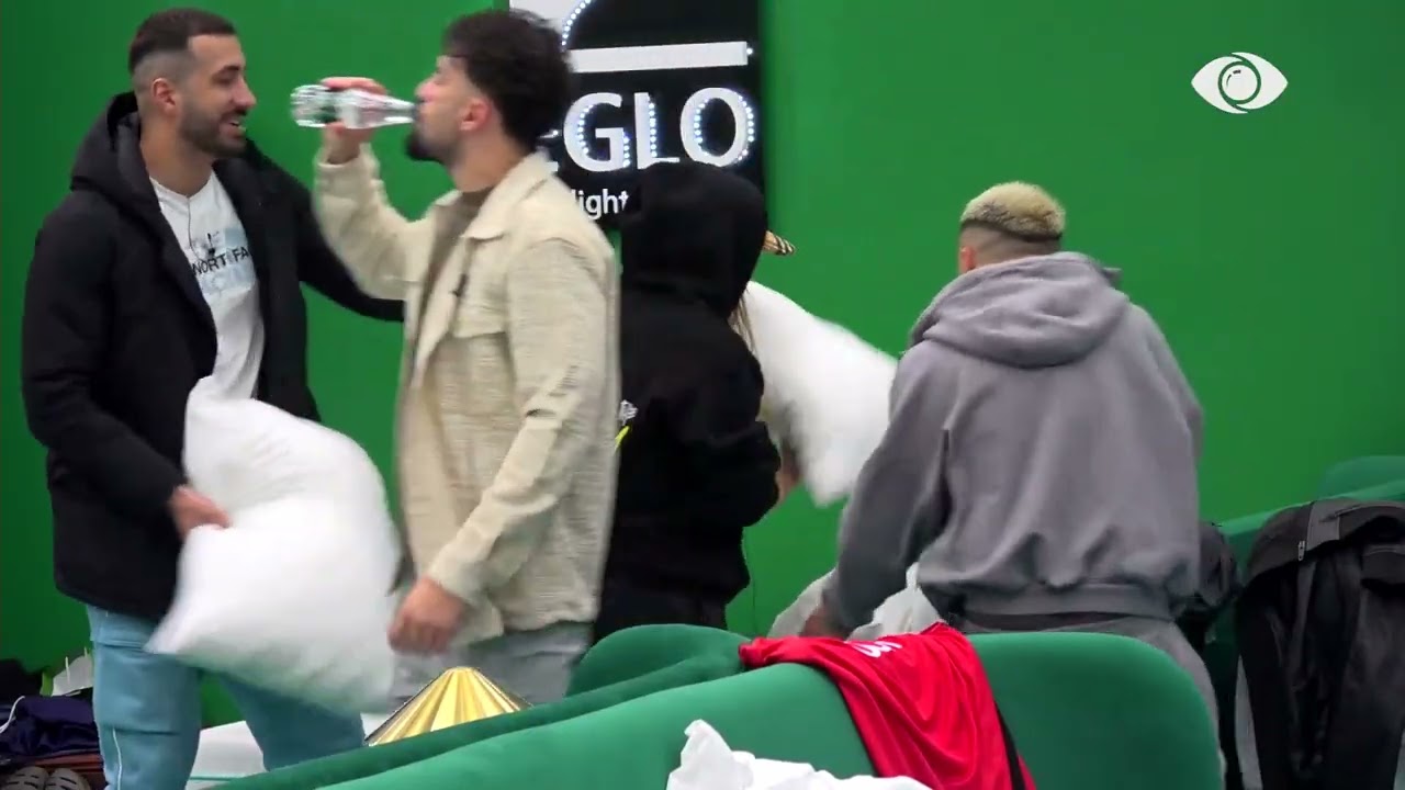 Momente gazmore në shtëpi, banorët luajnë me jastëk