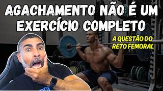 Pesquisa mostra "falhas" no agachamento! A questão do reto femoral e dos posteriores