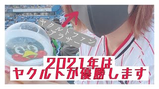 今年はヤクルトスワローズが優勝します【Vlog】