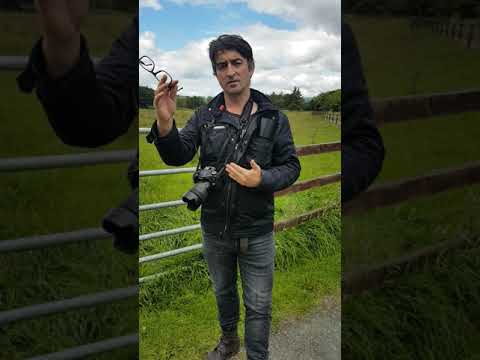 Field 1 Zone 1  Kilcoole rd  tree Trout River Reserve