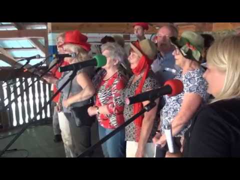 Święto Azalii Pontyjskiej przy rezerwacie "Kołacznia" w Woli Zarczyckiej  21 05 2017