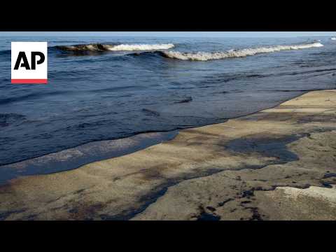 Oil spill washes over Umm Al Quwain beaches in UAE ...