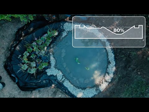 Lotus Box - Jezero u kutiji