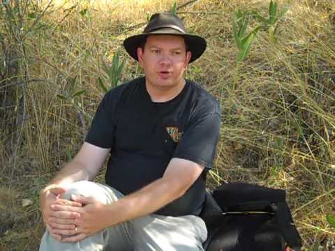 Pathfinder Phase one Why Map and Gadgets