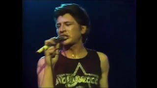 Herman Brood &amp; His Wild Romance - Rock &amp; roll junkie (1978) Live