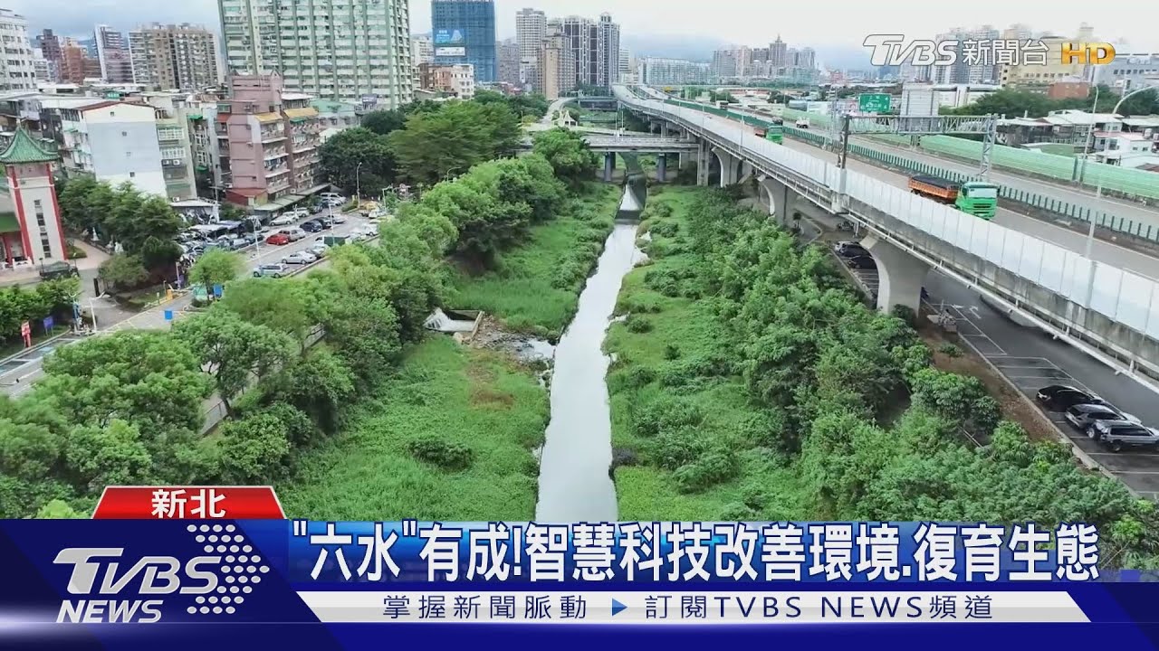 「六水」有成！智慧科技改善環境、復育生態