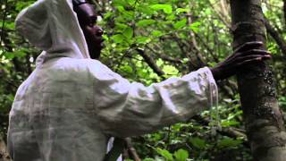 Light Asylum - A Certain Person