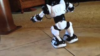 Meet My Dancing Robot