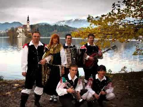 Ansambel Triglavski muzikanti - Prijateljem harmonike (V&S Avsenik)