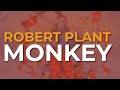 Robert Plant - Monkey (Official Audio)