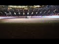 Liberty At Horse World Expo