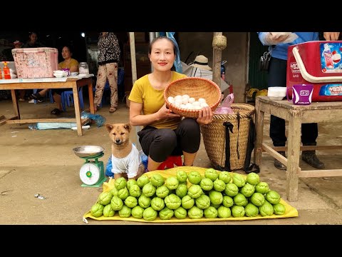 FULL VIDEO: Harvest bamboo shoots, chayote, tomato, green vegetables goes to the market sell