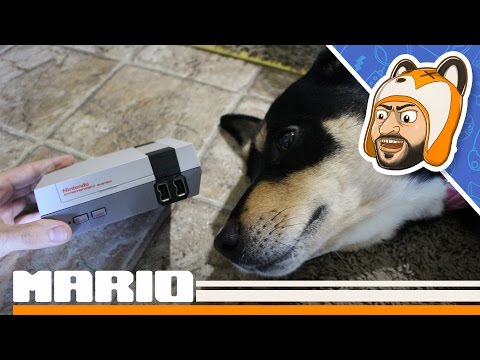 WE FINALLY FOUND ONE!!!! NES Classic Unboxing with My Dog 🐶