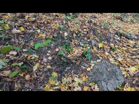 V15 Circuit Vf. Domogled Ep.2 Crucea alba - Pestera de sub Serban