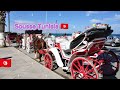 Horse Car Horse Cart Around Sousse Tunisia Horse Carriage Ride Gura Gari Gurar Gari