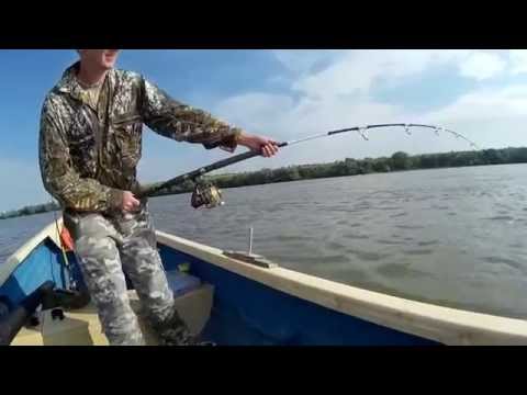 Catfish in Romania, wels, siluri a spinning. cu cicada de 70g