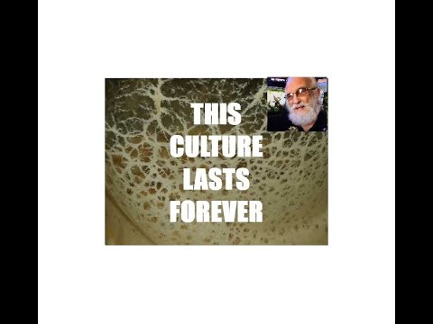 A FOREVER MICROWORM CULTURE