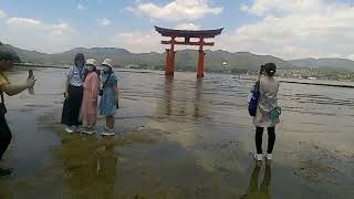 宮島をうろつく　③