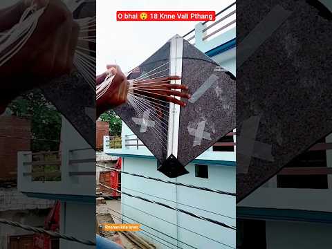 kite lover # 😯 OMG 18 knno Vali Pthang #kitelover short video #kite