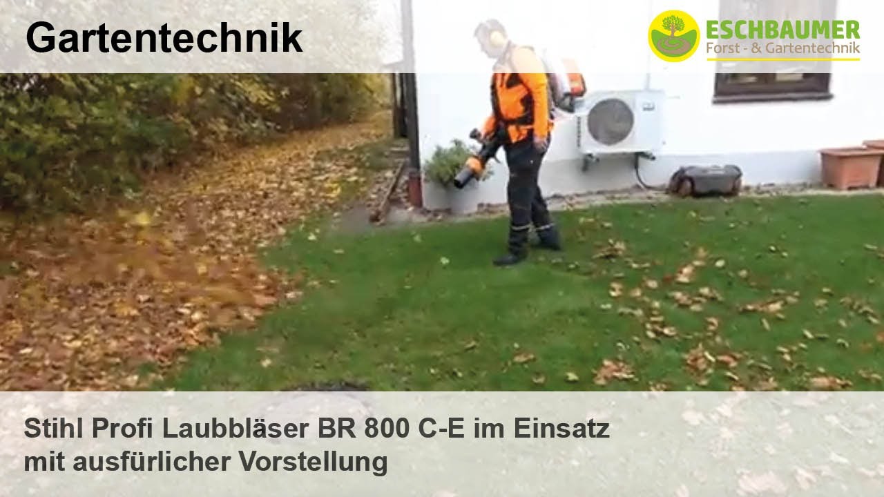 Vorschau: Youtube-Video