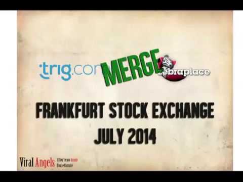 Viral Angels Review - Webinar July 2014 - a big Opportunity for the small Investor