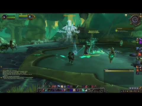 WoW Shadowlands - Maldraxxus campaign: Matron of Spies