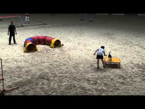 European Open 2013 - Individual finals small - Maiju Korhonen and Java.