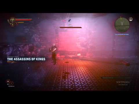 The Witcher 2: Assassins of Kings Enhanced Edition, PC Linux