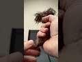 Bps Knives HK6 Unboxing
