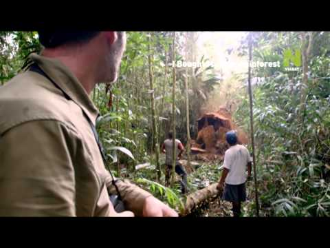 Viasat Nature - I Bought My Own Rainforest - promo