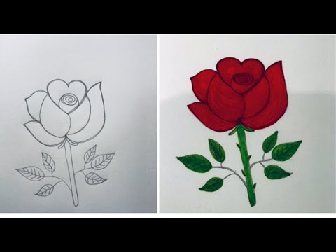 Rose Flower Drawing in Step by Step | Coloring Rose Flower