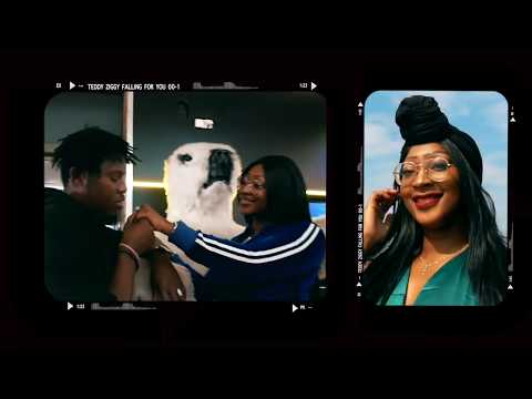 Teddy Ziggy ft Bmystireo - Falling For You (Official Music Video)