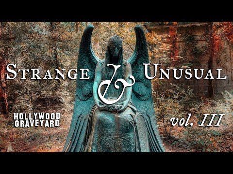 Strange & Unusual Tales from Hollywood Graveyard | vol. III