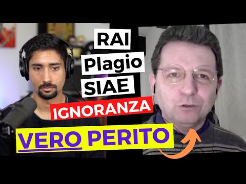 GRAVI ACCUSE di un VERO PERITO su RAI, SIAE, PLAGIO e TUTELA degli ARTISTI