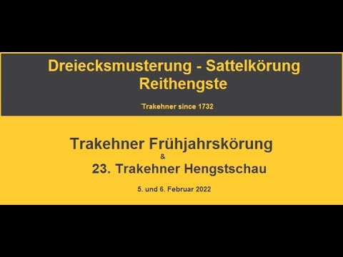 Dreiecksmusterung und Sattelkörung der Reithengste