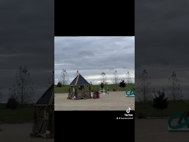 JUMENT 6 ANS AMATEUR 1 / ELITE