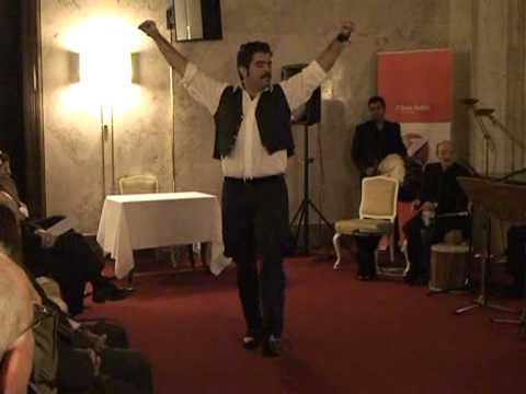 UZUNEFE - AYDIN ZEYBEGI solo - Viyana Belediye Sarayi