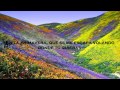 Estopa - La Primavera