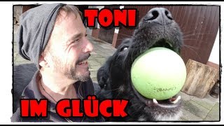 High Tech Hundespielzeug - Der Wicked Ball | Pferde Hoschi
