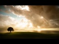 Shpongle - Invisible Man In A Fluorescent Suit ...