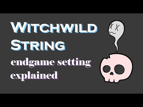Diablo 2 Ressurected Endgame Witchwild String Setting / 디아블로 2 레저렉션 마녀림의 시위 종결 세팅