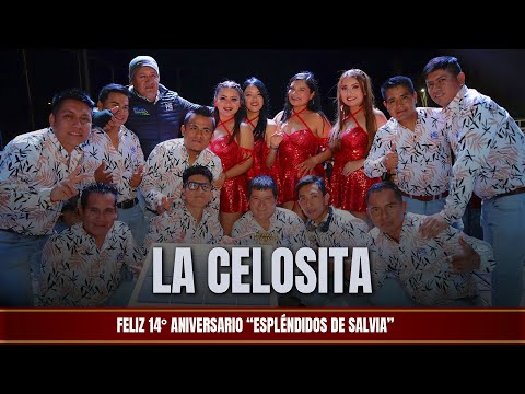 La celosita -  Esplendidos de Salvia - En vivo (Piura) 14 Años en tu corazón Perú