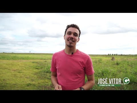 Giro UFGD 13/2019 - Posse Responsável de Animais