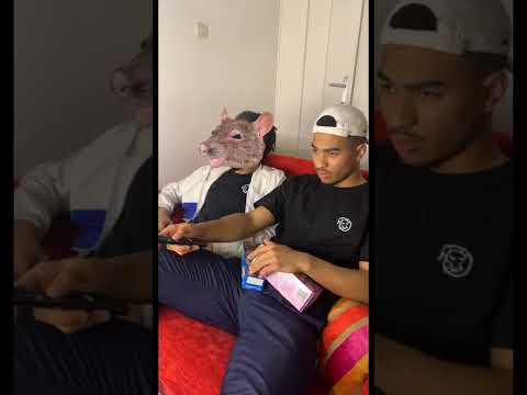 The Rat and Netflix 🍿🍿